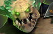Dota 2 hero portrait
